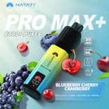 Hayati Pro Max Plus 6000 Prefilled Pod Kit Box of 5 TPD compliant disposable vape buy online UK VaperzHub 3