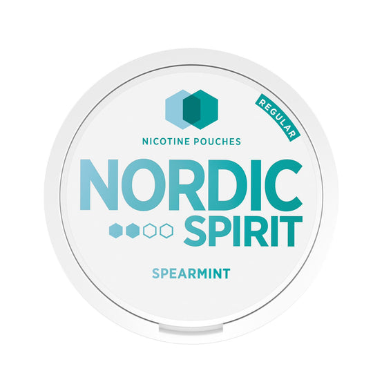 Nordic Spirit Nicotine Pouches (pack of 10) vape UK - VaperzHub